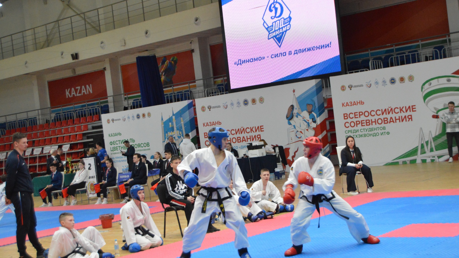 Тхэквондо. Тэквандо динамо. Тхэквондо зоркий красногорск. Академия тхэквондо абакан логотип. Тхэквондо динамо.